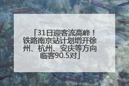 31日迎客流高峰！铁路南京站计划增开徐州、杭州、安庆等方向临客90.5对