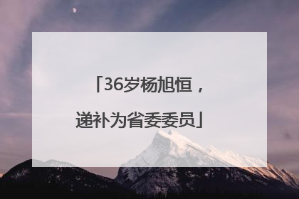 36岁杨旭恒，递补为省委委员