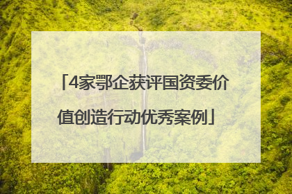 4家鄂企获评国资委价值创造行动优秀案例