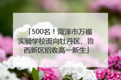 500名！菏泽市万福实验学校面向牡丹区、鲁西新区招收高一新生