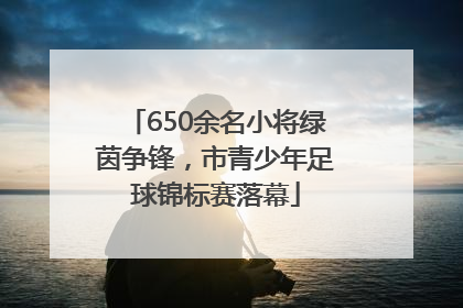 650余名小将绿茵争锋，市青少年足球锦标赛落幕