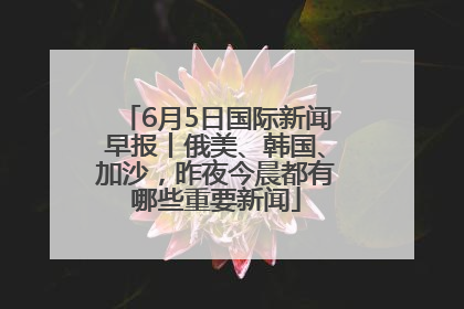 6月5日国际新闻早报丨俄美、韩国、加沙，昨夜今晨都有哪些重要新闻