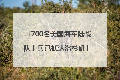 700名美国海军陆战队士兵已抵达洛杉矶