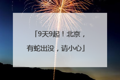 9天9起！北京，有蛇出没，请小心