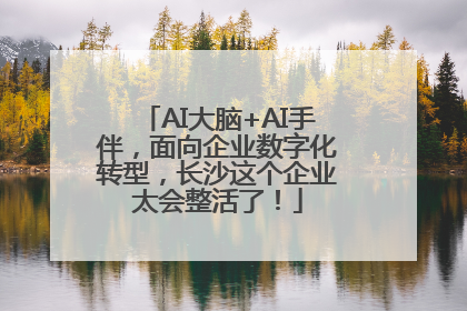 AI大脑+AI手伴，面向企业数字化转型，长沙这个企业太会整活了！