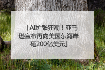 AI扩张狂潮！亚马逊宣布再向美国东海岸砸200亿美元