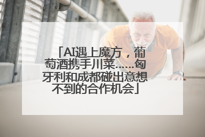 AI遇上魔方，葡萄酒携手川菜……匈牙利和成都碰出意想不到的合作机会