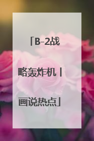 B-2战略轰炸机丨画说热点