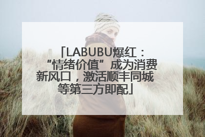 LABUBU爆红：“情绪价值”成为消费新风口，激活顺丰同城等第三方即配