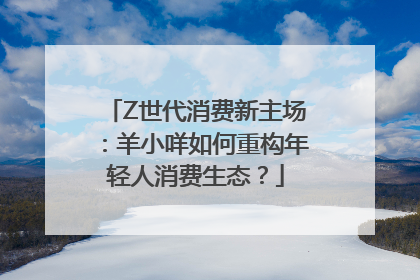 Z世代消费新主场：羊小咩如何重构年轻人消费生态？